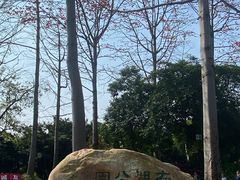 -南宁南湖公园
