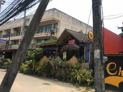 -Jungle Kitchen