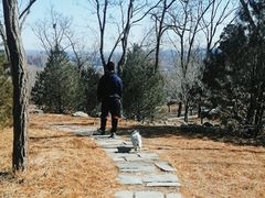 -阳台山自然风景区