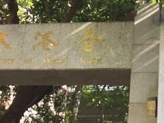 -香港大学