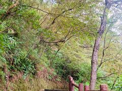 -羚羊峡古栈道森林公园