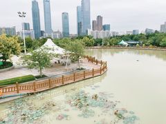 -凤岭儿童公园