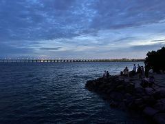 -宝安西湾红树林湿地公园