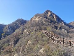 -大岭沟猕猴桃谷风景区