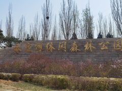 -永定河休闲森林公园