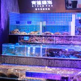 这家海鲜真的高级感扑面而来！快冲