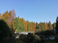 -山王坪喀斯特国家生态公园