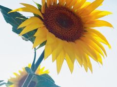 -桤木河湿地公园