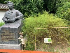 -广州神农草堂中医药博物馆