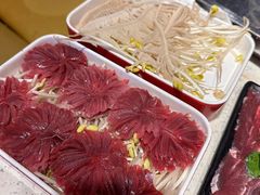 -钢管厂五区小郡肝火锅串串香(总店)