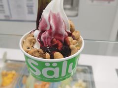 -Salud撒露欧洲冻酸奶(五道口购物中心店)