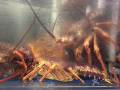 -馬車會海鮮酒樓