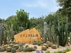 -深圳仙湖植物园