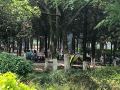 -白马涧龙池景区