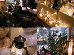 -咖法森林·咖啡  酒吧(天河店)