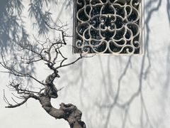-西园戒幢律寺