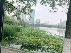 -西北湖绿化广场