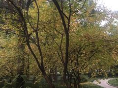 -木塔寺遗址生态公园