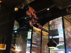 -老板恋上鱼(高新万达店)