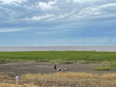 -南汇嘴观海公园