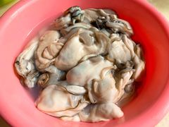 生蚝-蚝乡农庄(铁涌赤岸店)