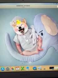 点击看大图 -西瓜庄园儿童摄影