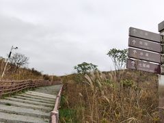 -大围山国家森林公园