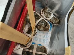 -阳澄湖大闸蟹·琼灵阁牌品牌连锁(吴中总店)