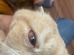 -爱侣宠医·鹦鹉专科·小型哺乳类·异宠专科(灵石路店)