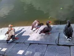 -长春世界雕塑园冰雪艺术天地