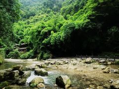 -三峡人家风景区
