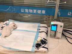 -美迦爱-牙专科·兔科·骨科诊疗中心(北苑店)
