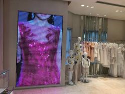 -TADASHI SHOJI(中国旗舰店)