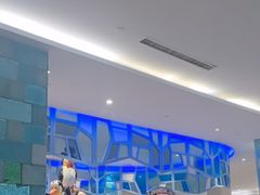 -帝企鹅自助餐厅•儿童岛•真企鹅(长隆企鹅酒店)