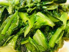 油麦菜-黄牛肉馆·皖南土菜