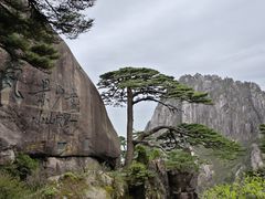 -黄山风景区