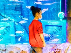 -沈阳海洋探索中心