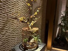 -浅深(北京北四环精品店)