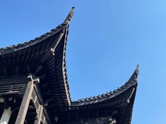 -红梅公园