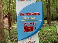 -东平国家森林公园