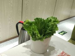 -古乐牛香·鲜牛肉牛杂火锅(新区店)