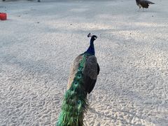 -韶关经律论国际酒店温泉