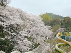 -杭州少年儿童公园
