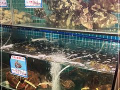 水产区-范饭椰林川湘味海鲜·椰子鸡(三亚湾椰梦长廊店)