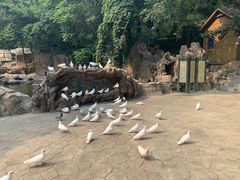 -燕塞湖鸟语林景区