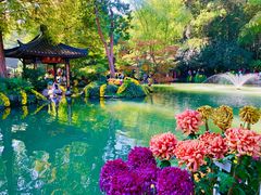 -杭州植物园