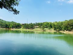 -南京市无想山景区