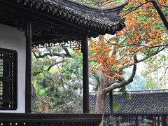 -上海醉白池公园
