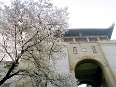 -武汉大学-樱园