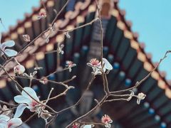 -东华门大街小区